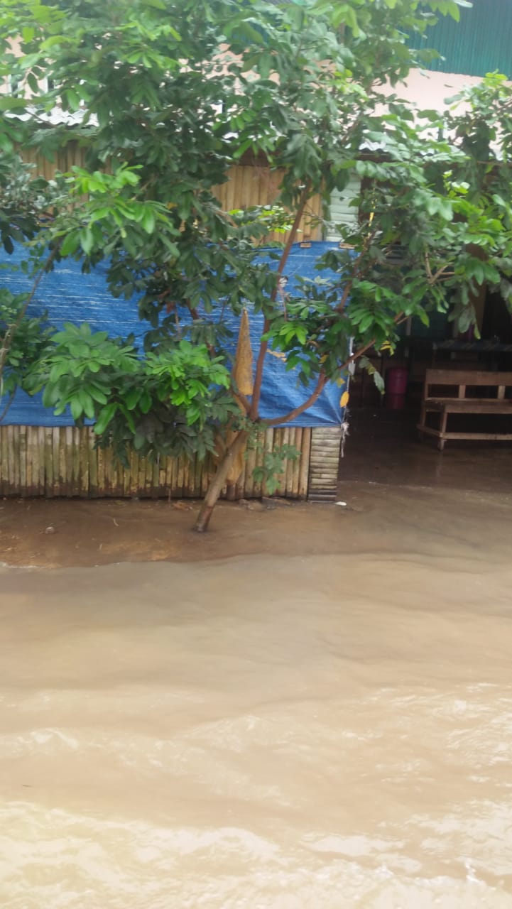 Dinsos,PPrPA mendampingi Bupati Pessel Meninjau Masyarakat Terdampak Banjir di Nagari Lumpo